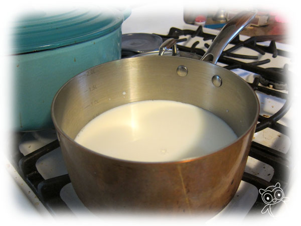 warming milk to make yogurt